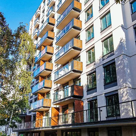 Seasons By Alluxe Boutique